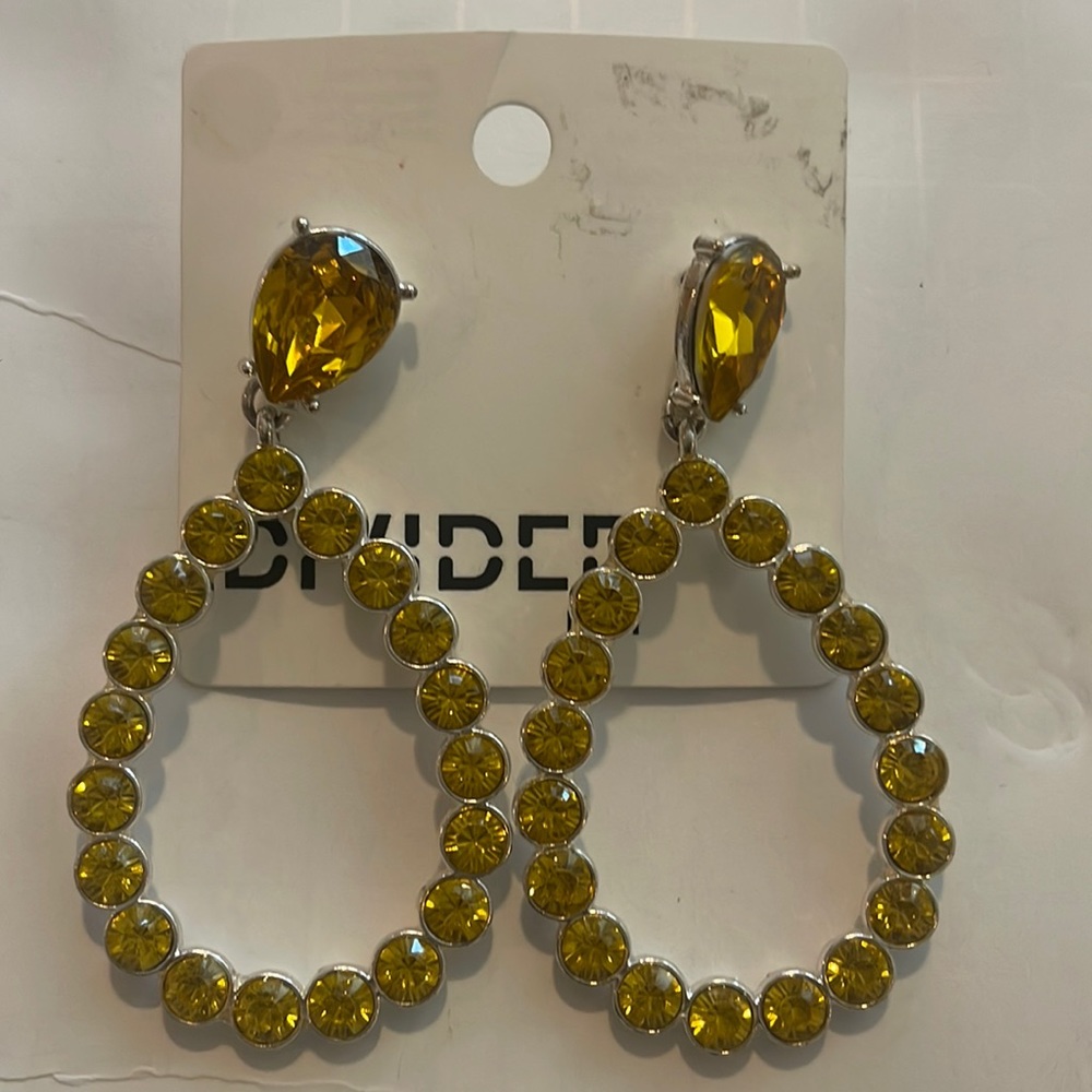 New! Teardrop Earrings